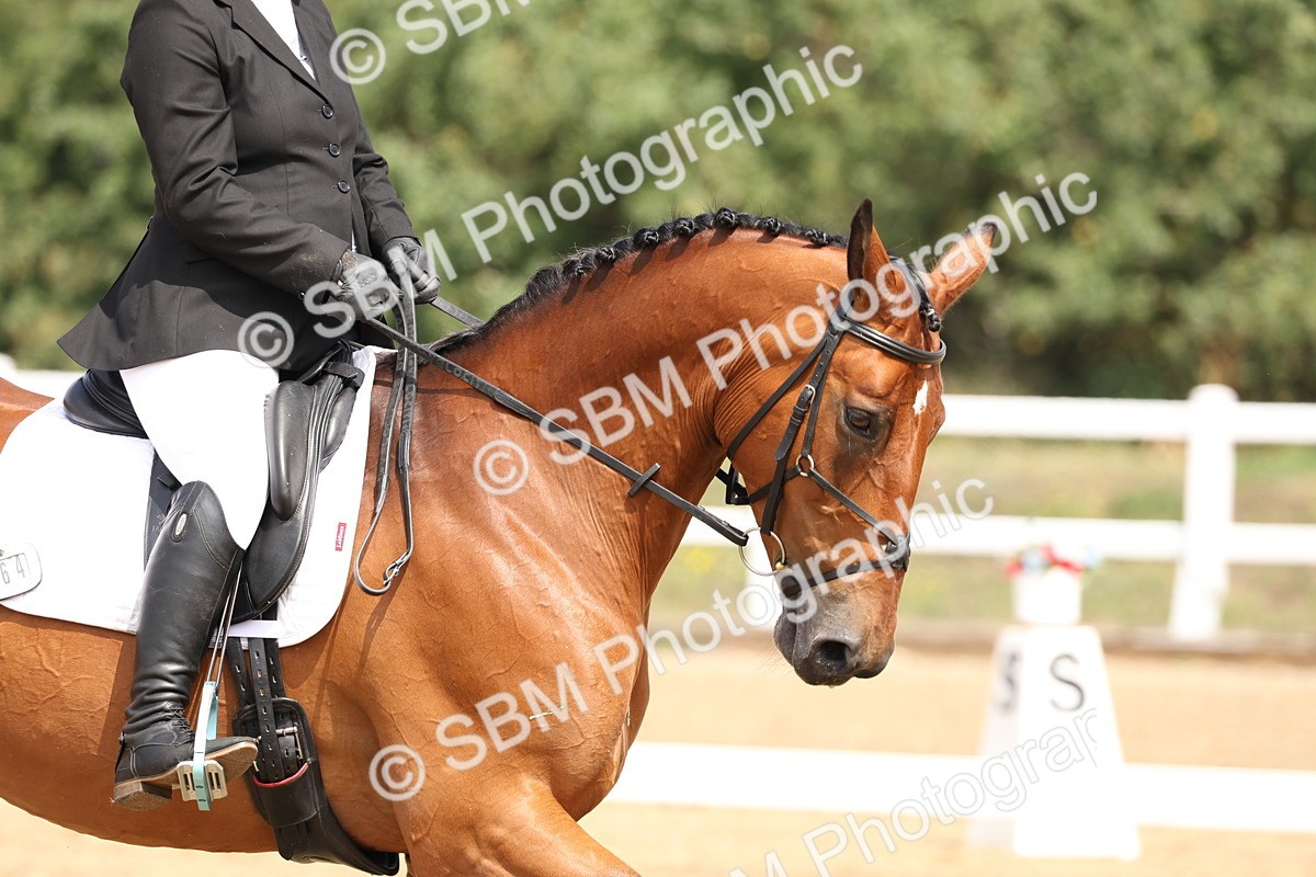 SBM_006187 - Class 6 - novice 6 - 11.50-12.46