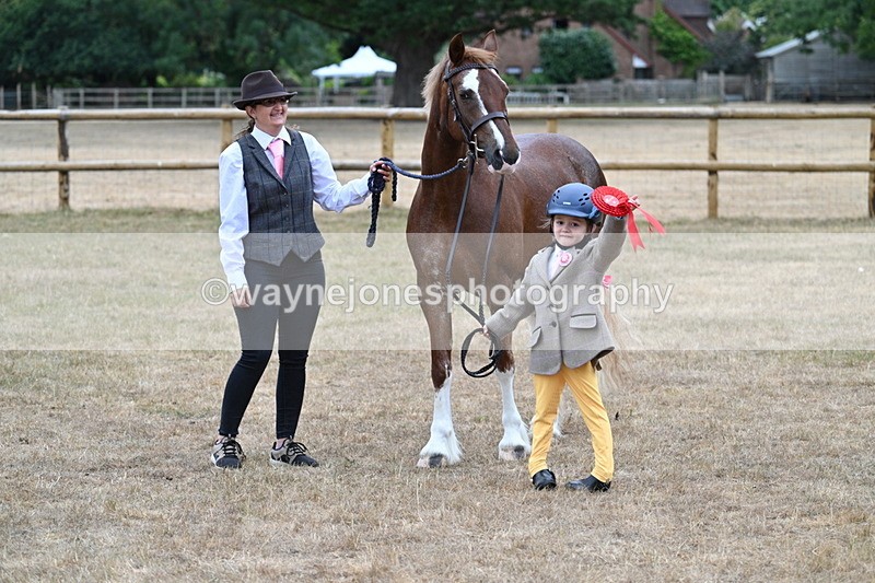WJ7_8564 - Class 4 Prettiest Mare up to 14.2hh