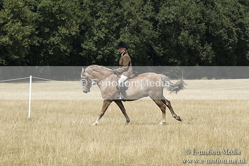 _PJP5972 - BVRC Show 2018 Ring 1