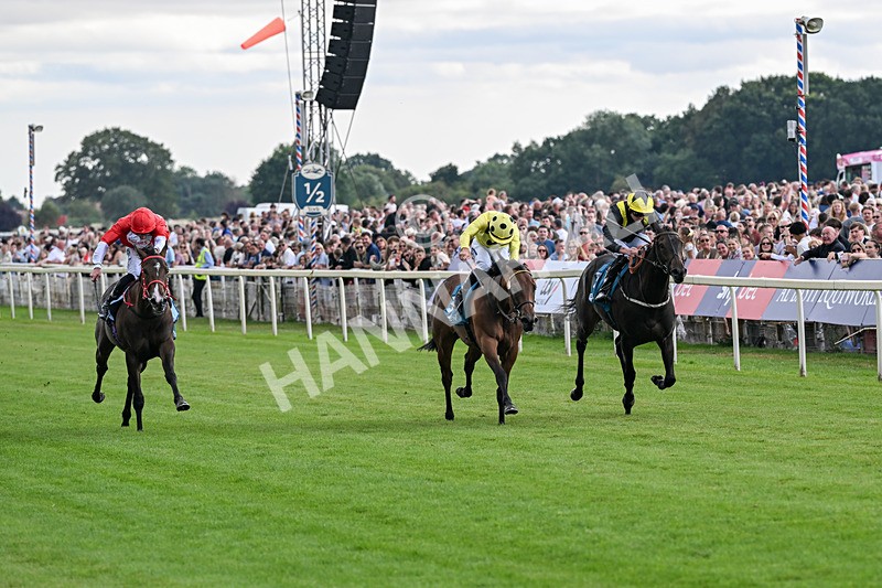 250726-Race 5-Rogue Jewel-7549 - Race 5 15.42pm Sky Bet Price Boosts EBF Fillies' Novice Stakes
