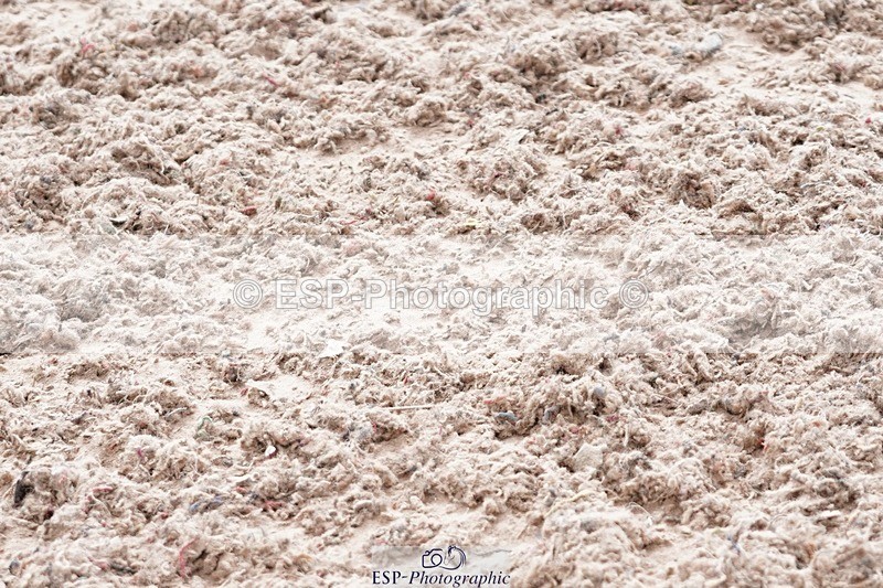 250505-115554-04245 - Cls 18+19 Club and Schools 60cm