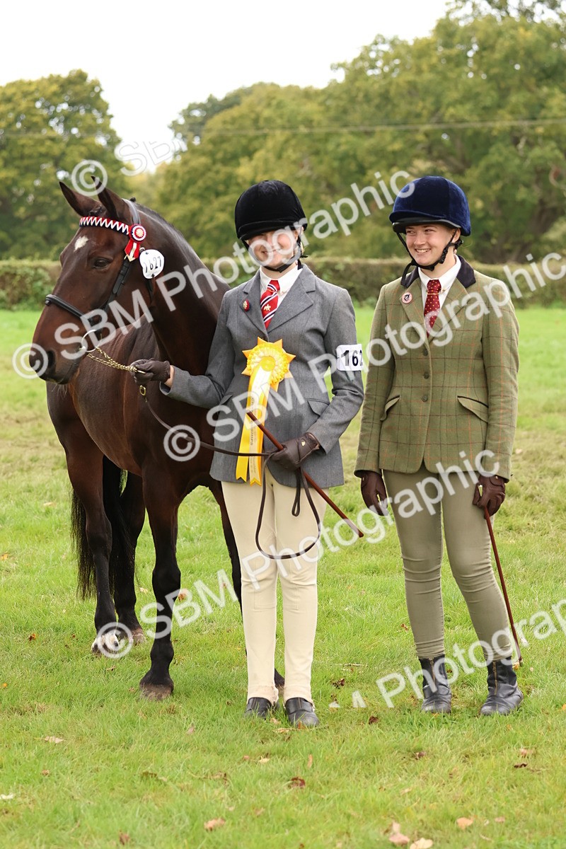 SBM_60004 - S36 - Rehabiliated Rescue Horse & Pony In Hand & Ridden