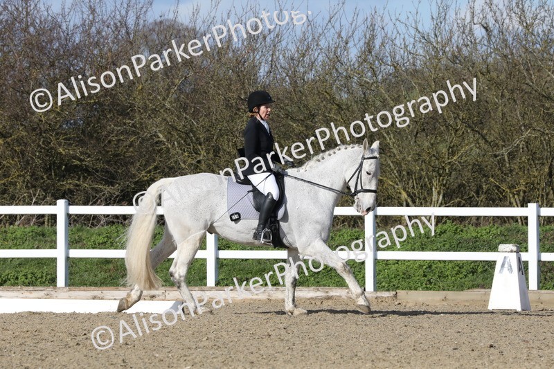 20260314-5122 - CT6 - Elementary 1