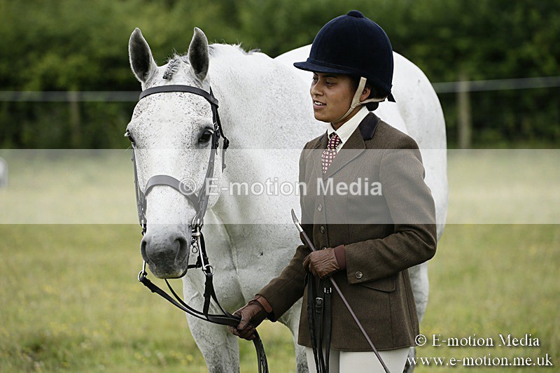 BVR160717-238 - Ring 2 BVRC Show 16/07/17