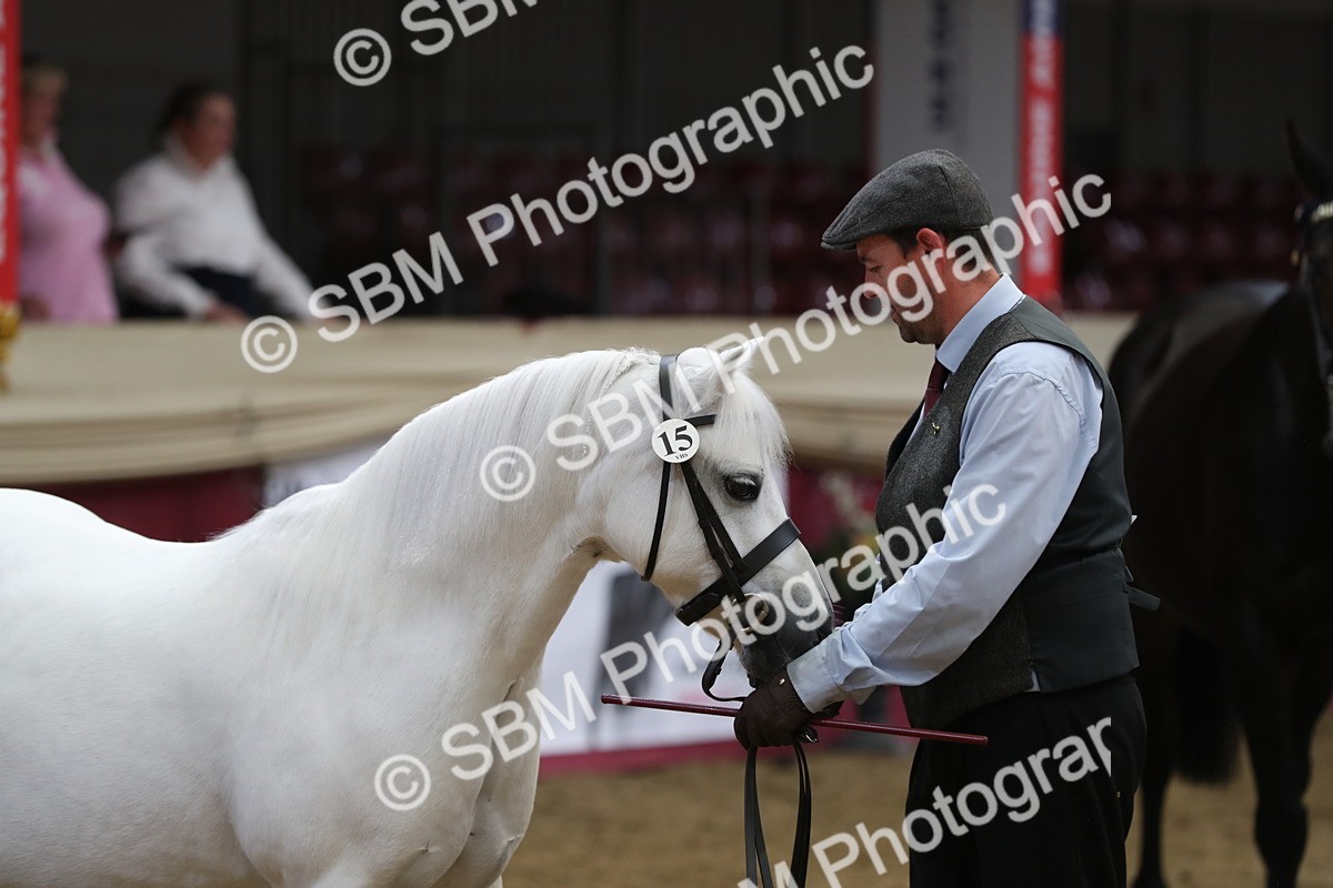 SBM_06418 - Class 9R Regional- IH Pre Vet