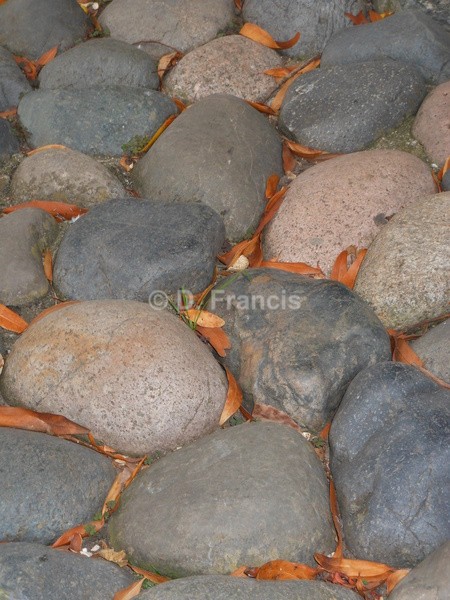 Pebbles, Holland Park - Landscapesque