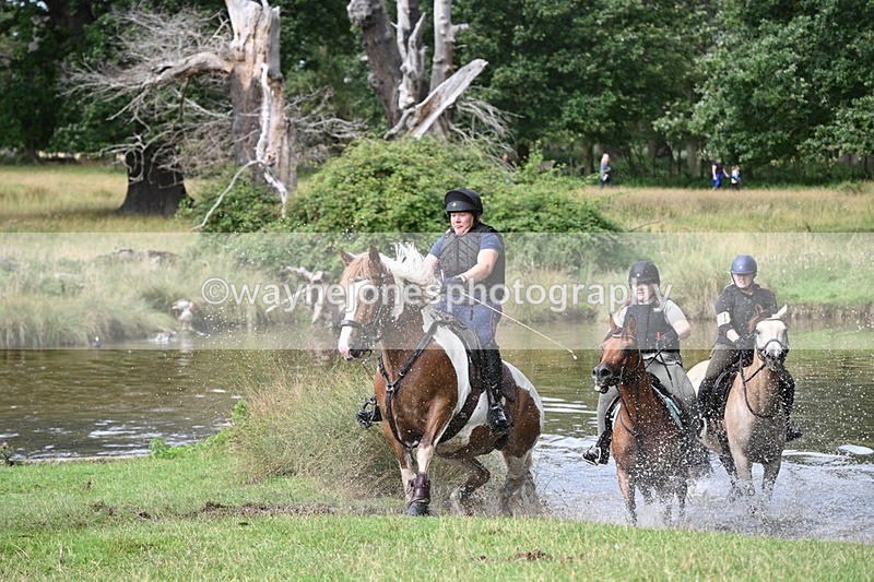 WJ7_1610 - Time at Water 10:48 to 11:13