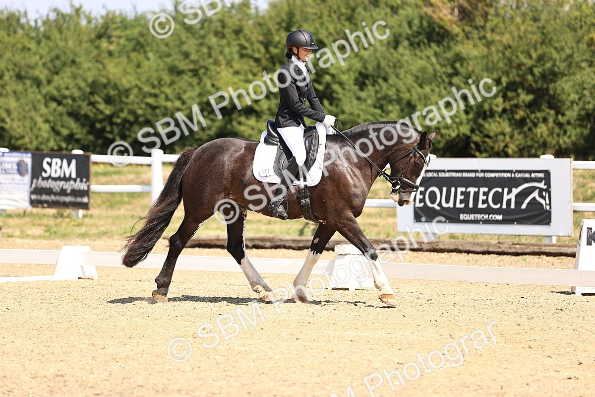 SBM_003631 - Intro 2