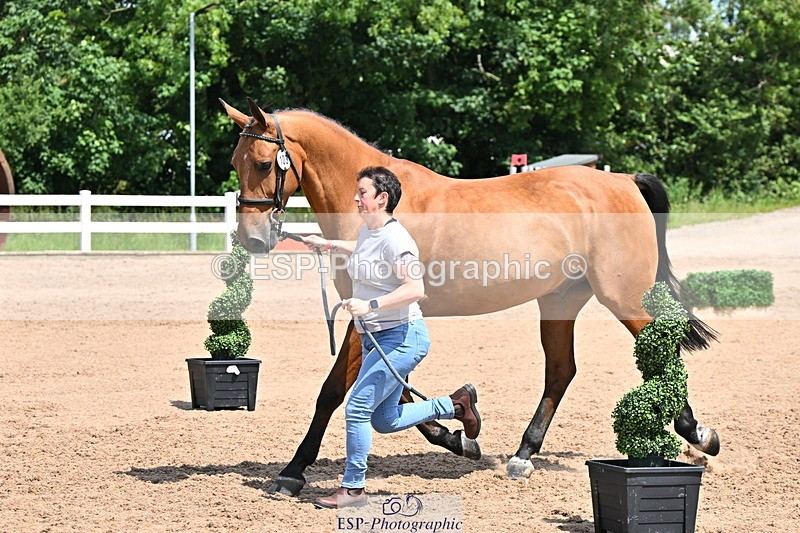 240718A-105300-01429 - Trot Up 12pm to 1pm