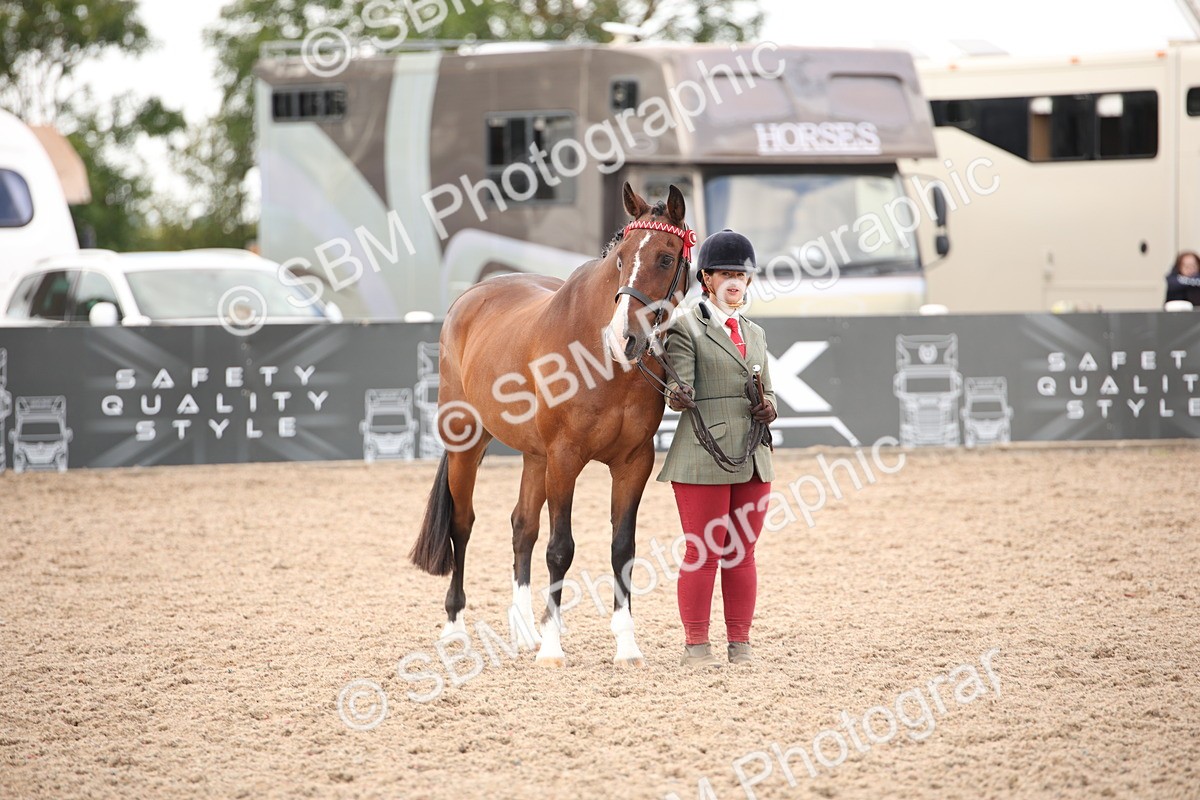 SBM_08221 - Class 27 - IH Competition Horse-Pony