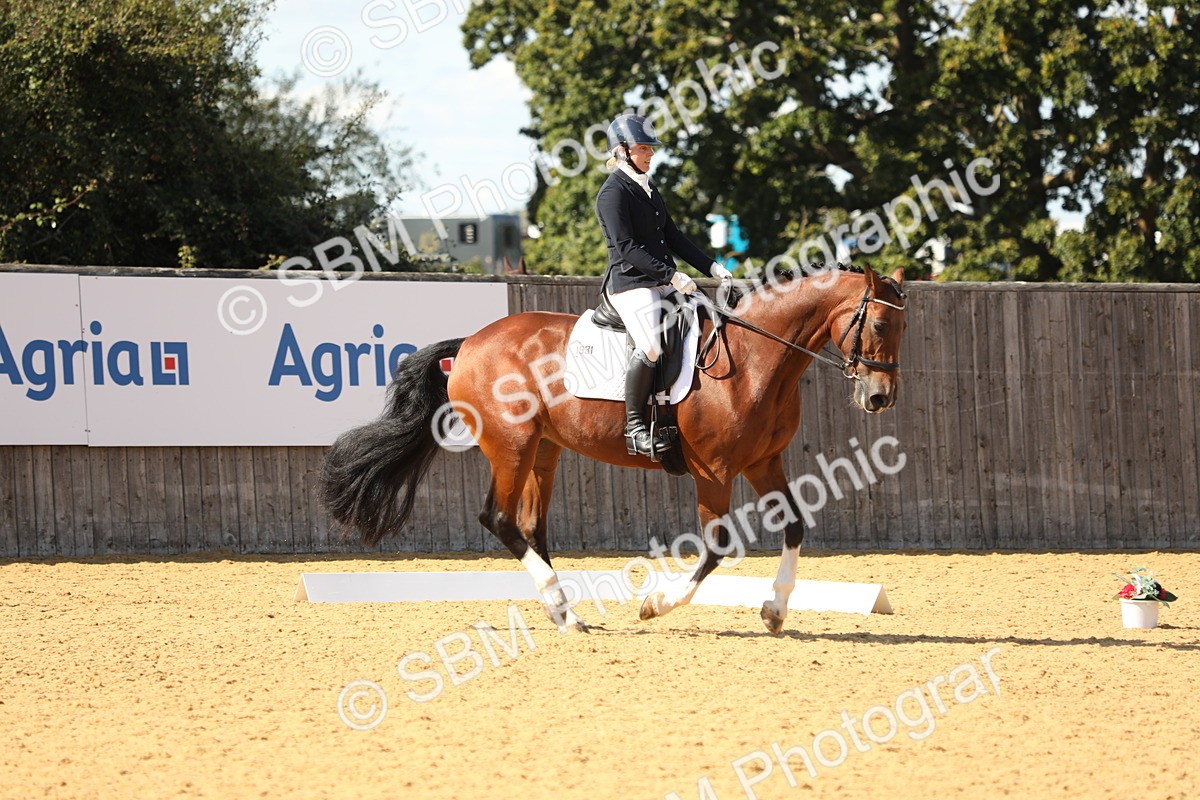 SBM_24519 - D17 - Grand Tour Championship - Novice 27