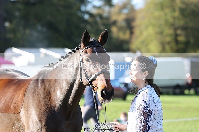 241027-095417-15573 - 464-Lucy.Hemmings-NLS.CLOVER.SHUFFLE