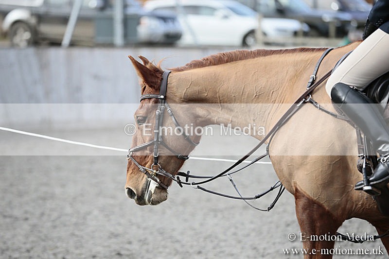 BVRC SJ 170319 805 - Bourne Valley Riding Club Showjumping 17/03/19