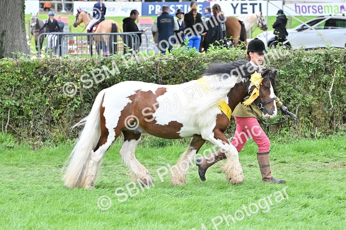 SBM_65005 - In Hand Pony & Younstock Supreme Championship