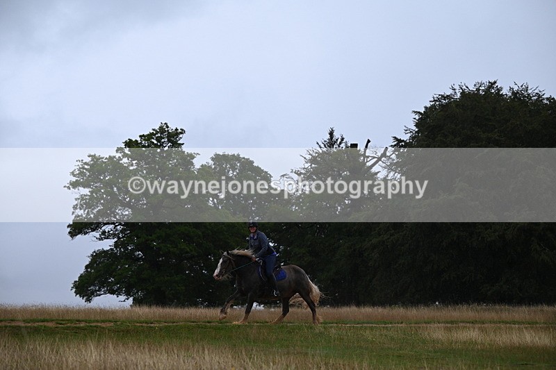 DSC_3289 - Time at Statue 12:59 to 13:49