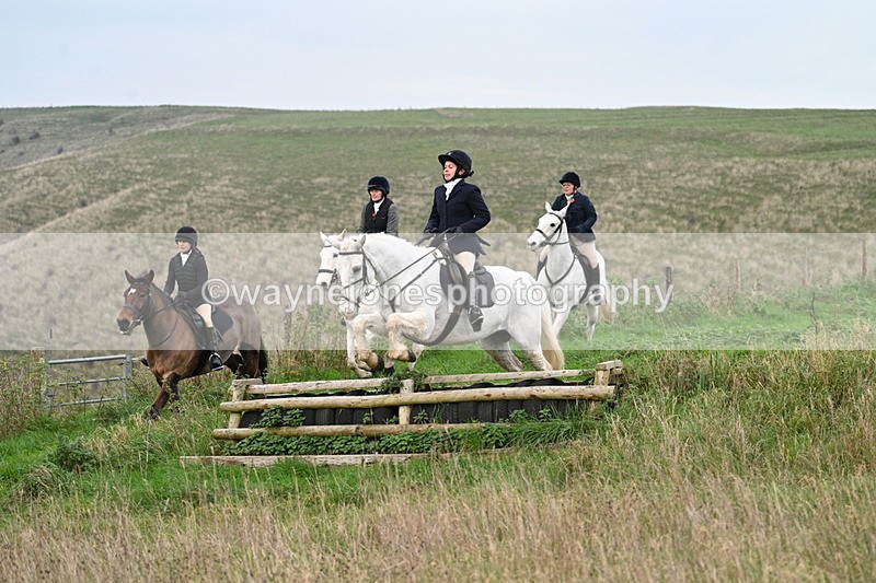 WJ7_0056 - Camera 1 & Last fence