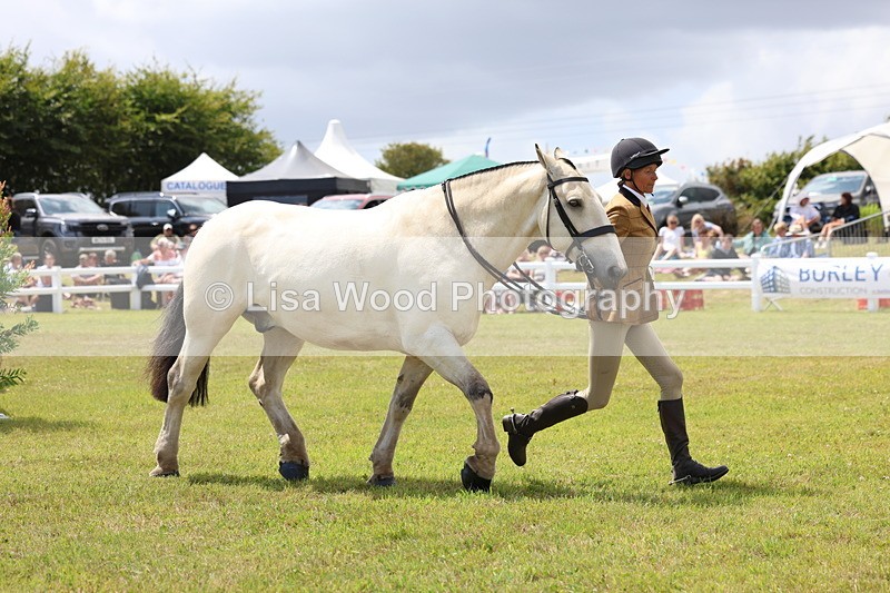 3E7A2257 - Class 10: Open Cob