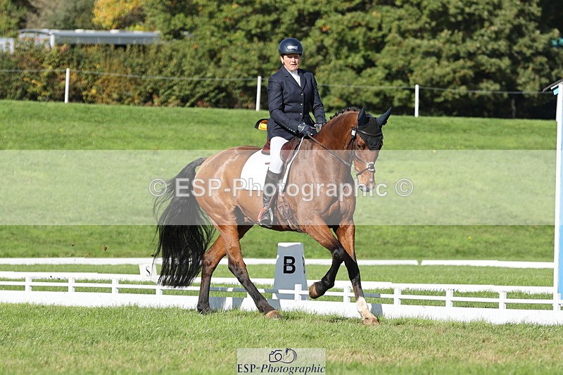251024A-122523-10186 - D-361-Alison.Gill
