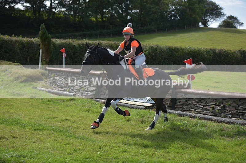 RAY_8816 - Class 2: Trekenning Open: Wall