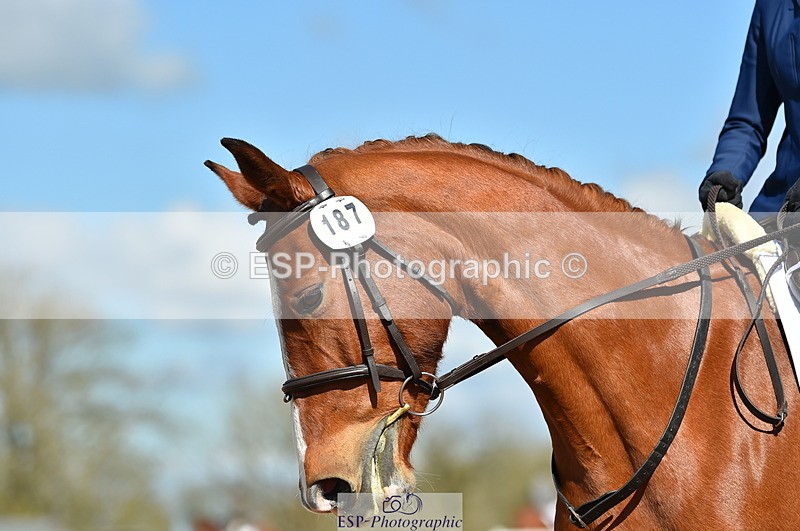 230415A-112652-01061 - Cls 11 CT Prelim 12 10.34 to 12.12 break