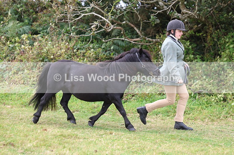 3E7A4601 - Class 16: Best Grass Kept