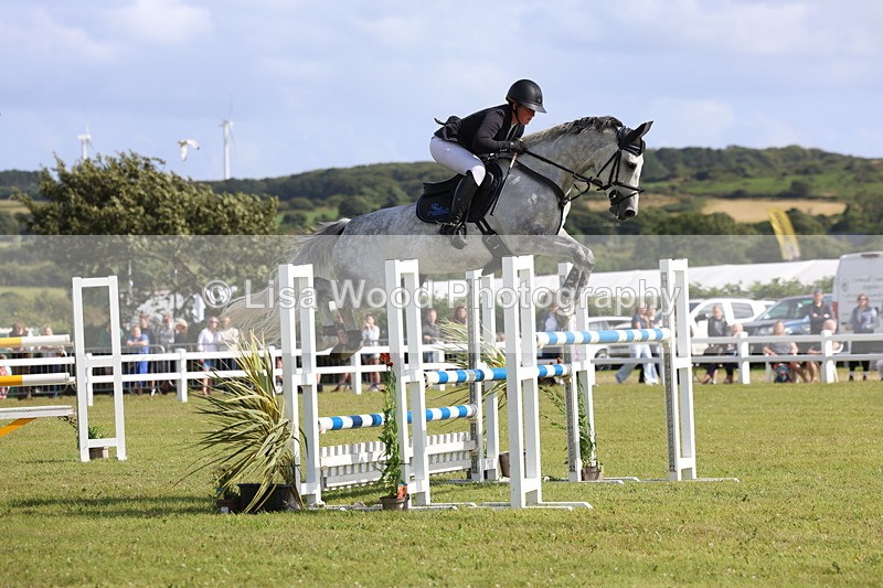 3E7A3478 - Class B: Showjumping Accumulator