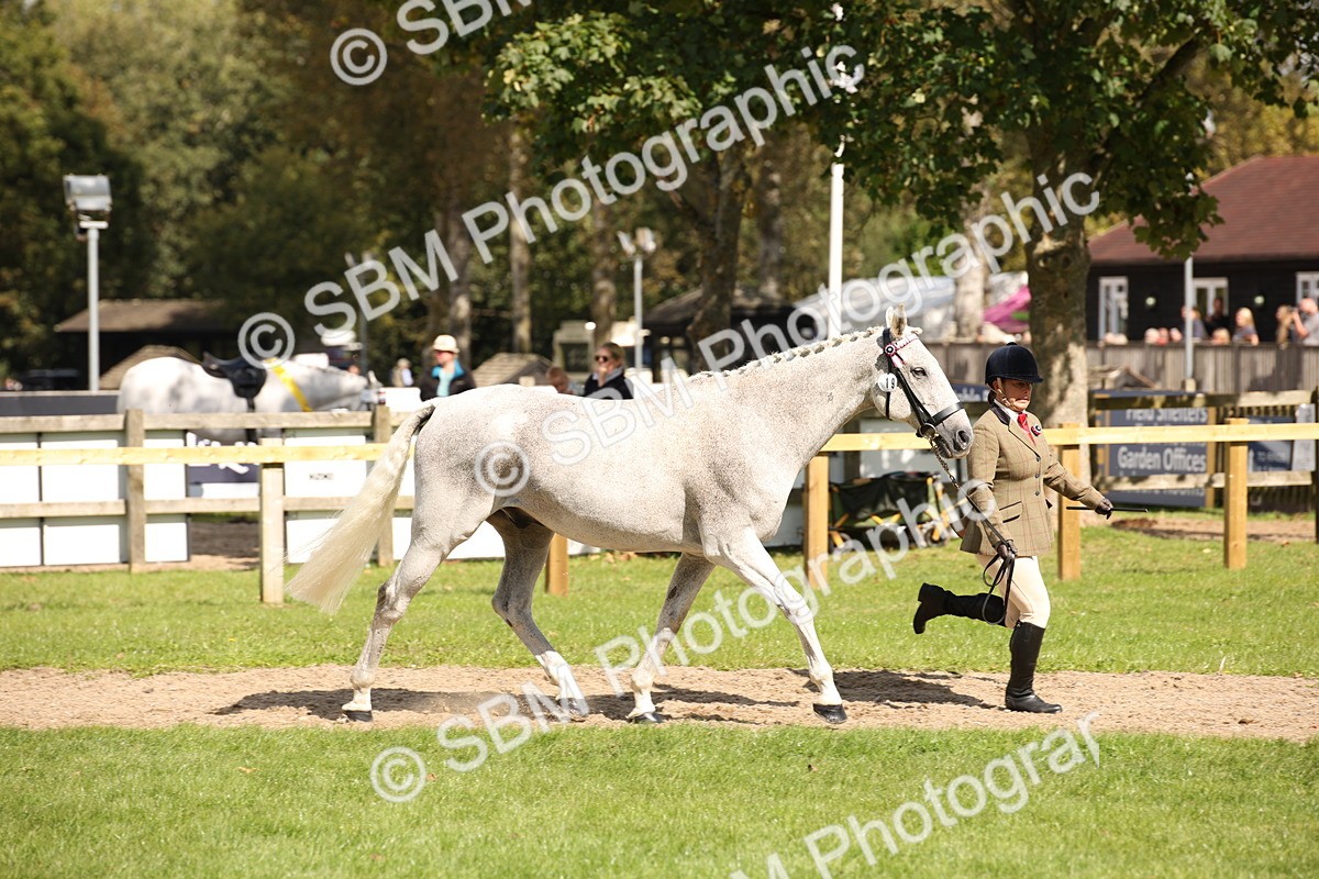 SBM_44378 - S24 - Young Veteran in hand
