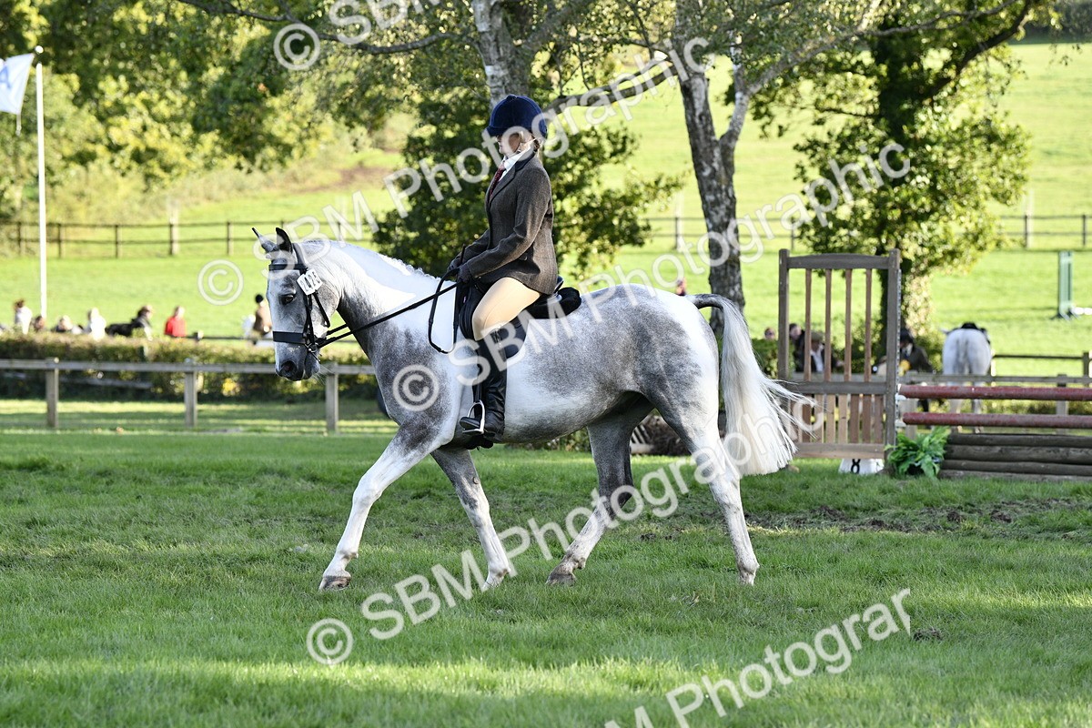 SBM_53517 - S14 - Riding Club Horse