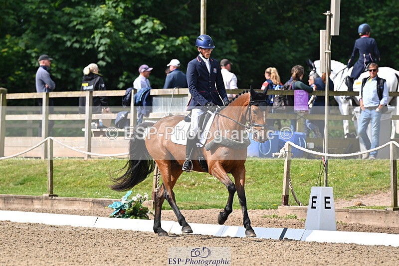 250523A-094207-05317 - C-258-Bill.Levett-ITALIAN.HARLEQUIN.NJ