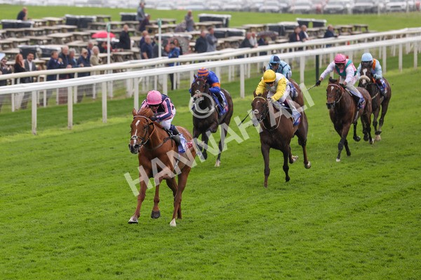 150524-Race 1-Crystal Delight-1430 - Race 1 2.15pm Sky Bet Race To The Ebor Jorvik Handicap