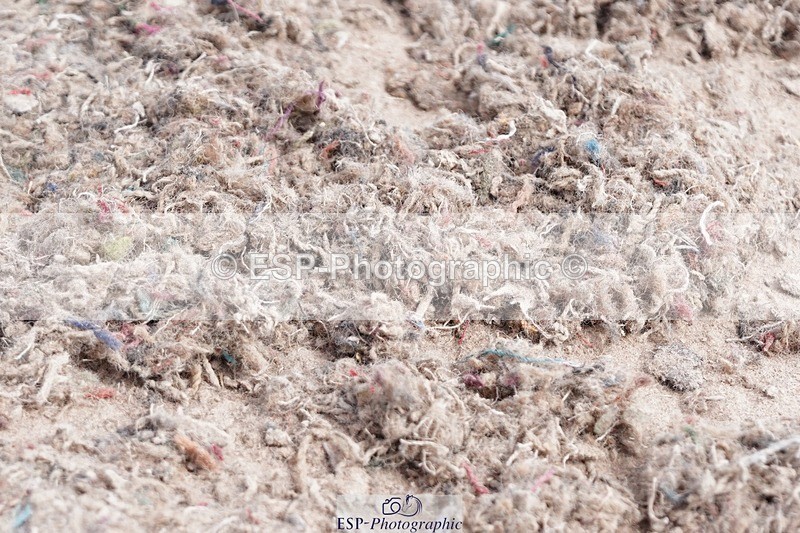 250505-115146-04231 - Cls 18+19 Club and Schools 60cm