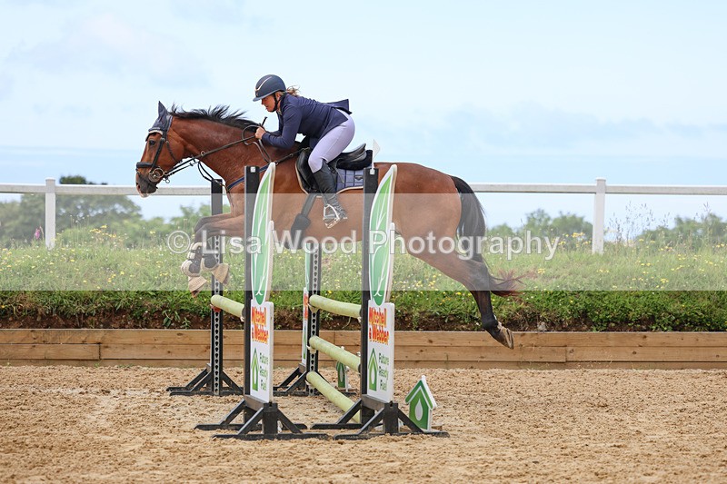 3E7A3237 - Class 4: Senior British Novice/90cm open