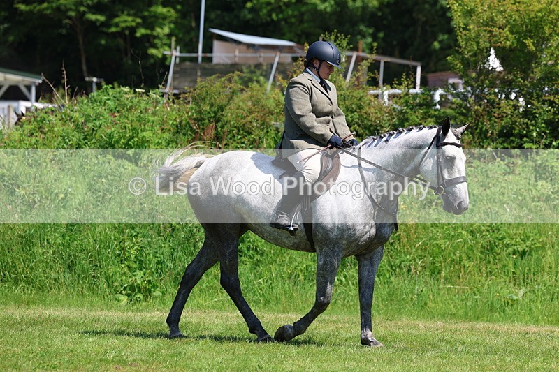 3E7A8171 - Class 13: Ridden Hunter