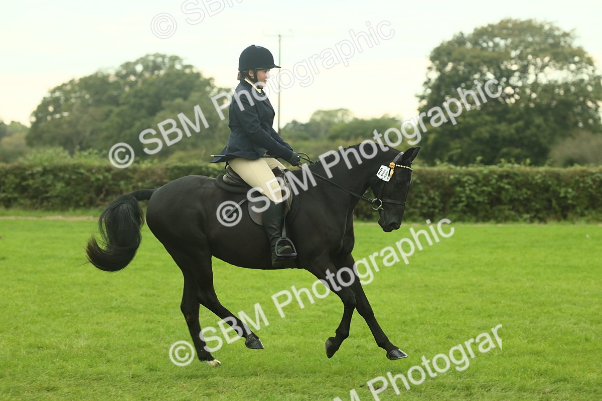 SBM_73939 - S 61 - Show Pony & Show Hunter Pony Ridden