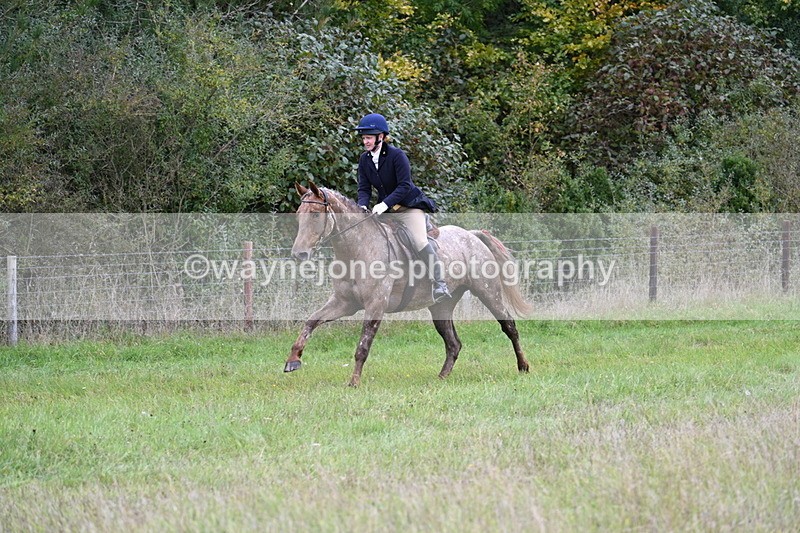 WJ7_3885 - Camera 1 Line 1