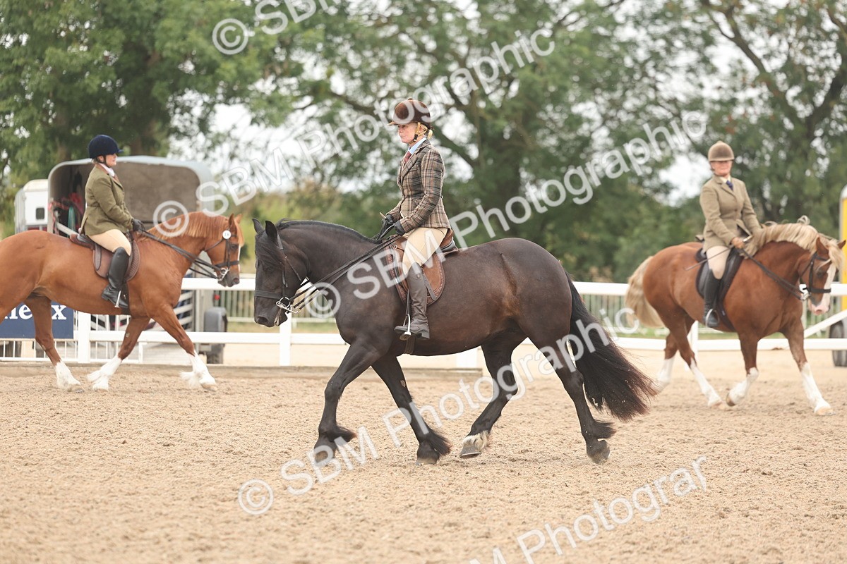 SBM_01911 - Class 14 - Ridden M&M Wildcard