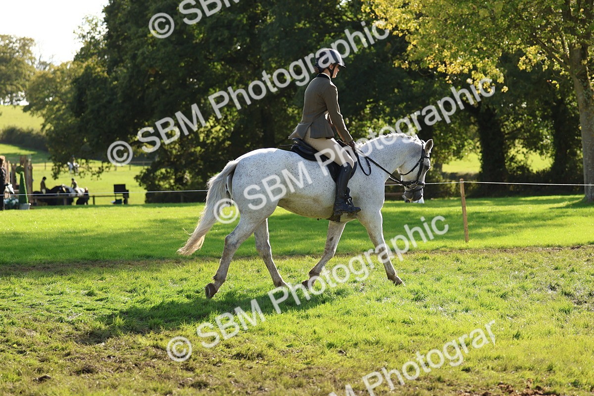 SBM_52385 - S13 - Pony Club Pony