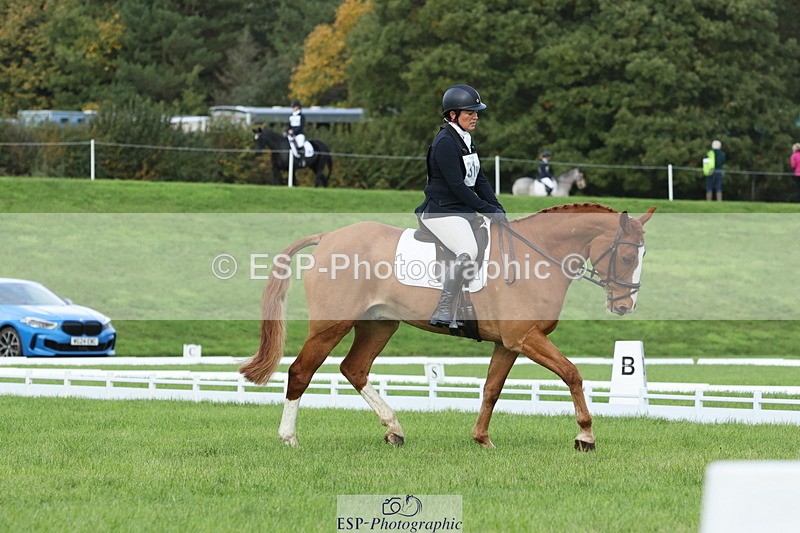 251023A-104845-03233 - D-310-Emily.R.Vincent