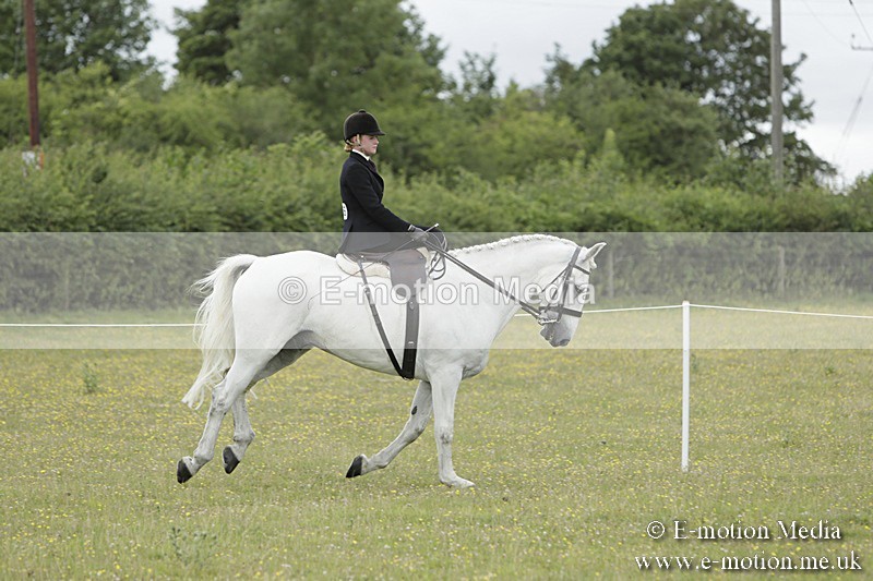 BVR160717-2351 - Side Saddle Classes 16/07/17