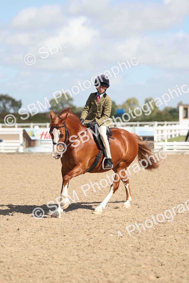 SBM_23078 - Class 806 - Young Rider 10ry and Under