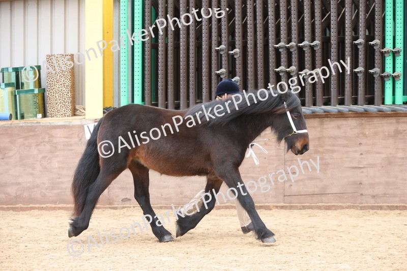 20251109-0920 - Class 26 - 2 and 4 Year Olds