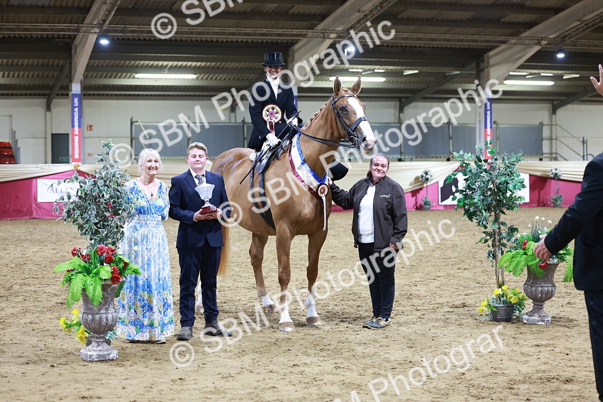 SBM_20957 - Class N - Side Saddle Champ