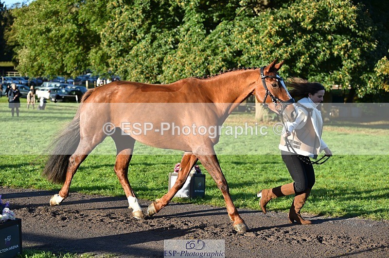 231022-091512-21647 - 667-BAILE.NA.CROISE-Emma.Pine-TrotUp+SJ