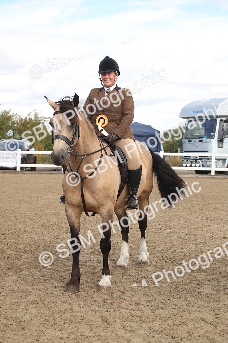 SBM_14589 - Class 505a - M&M Working Veteran - 50cm (15-19)