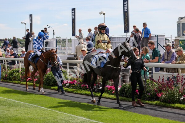 yr08072022r3-2 - Race 3 3.15pm William Hill Play Responsibly Irish EBF Novice Fillies Stakes