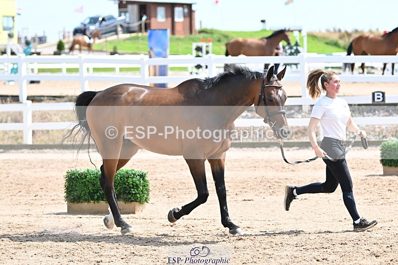 240717A-150057-02444 - Trot Up 3pm to 4pm