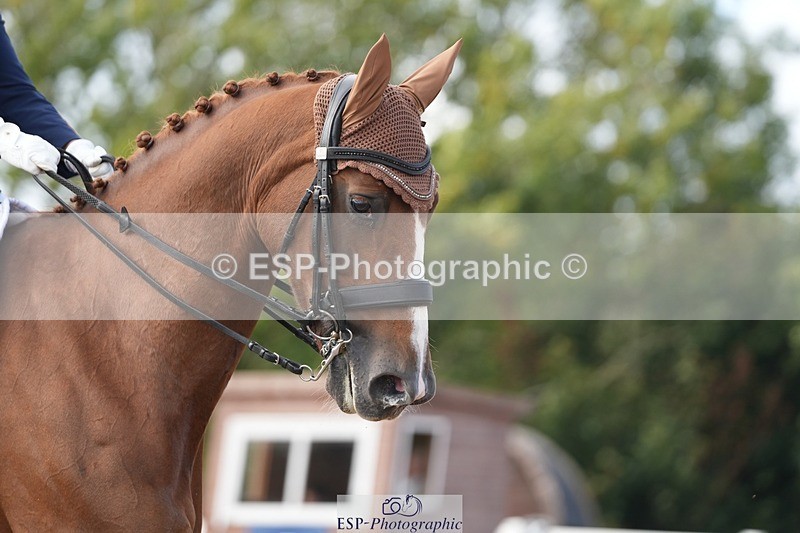 250907-160913-09773 - 126-Clair.ReedCatherston.Specific