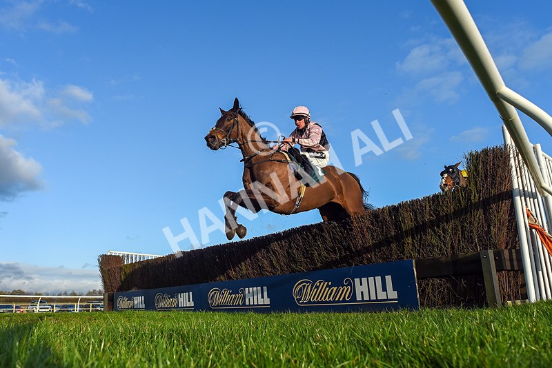 270224-Race 5-Twoshotsoftequila-6210 - Race 5