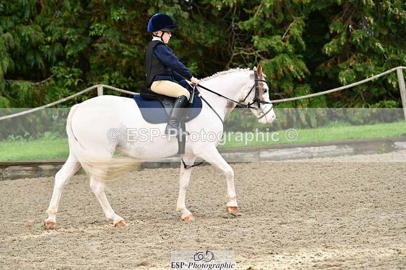 251004A-105820-00485 - Classes 4 & 5 50cm