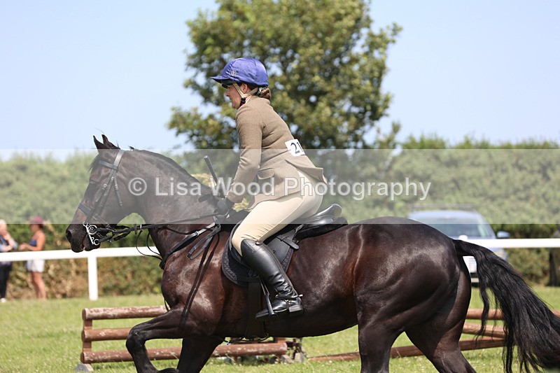 JPP_2550 - Class 21: Working Hunter 60cm